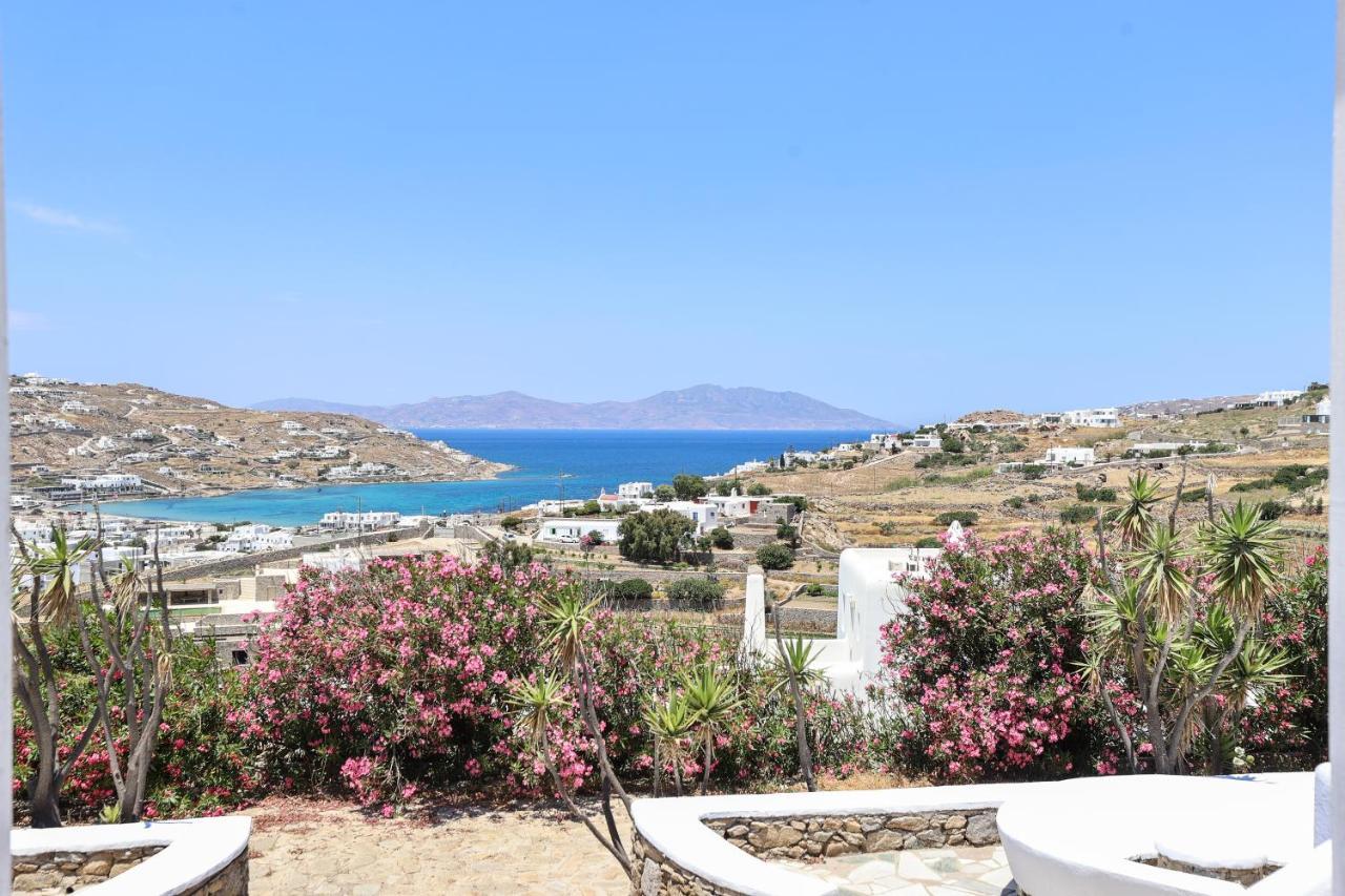 Mykonos In White Villa Mykonos Town Luaran gambar