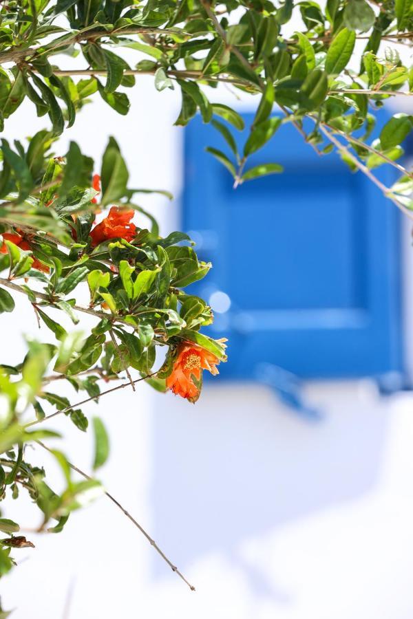 Mykonos In White Villa Mykonos Town Luaran gambar